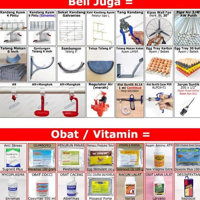 Bisadong- Alas Lantai Kandang Baterai Ayam Petelur