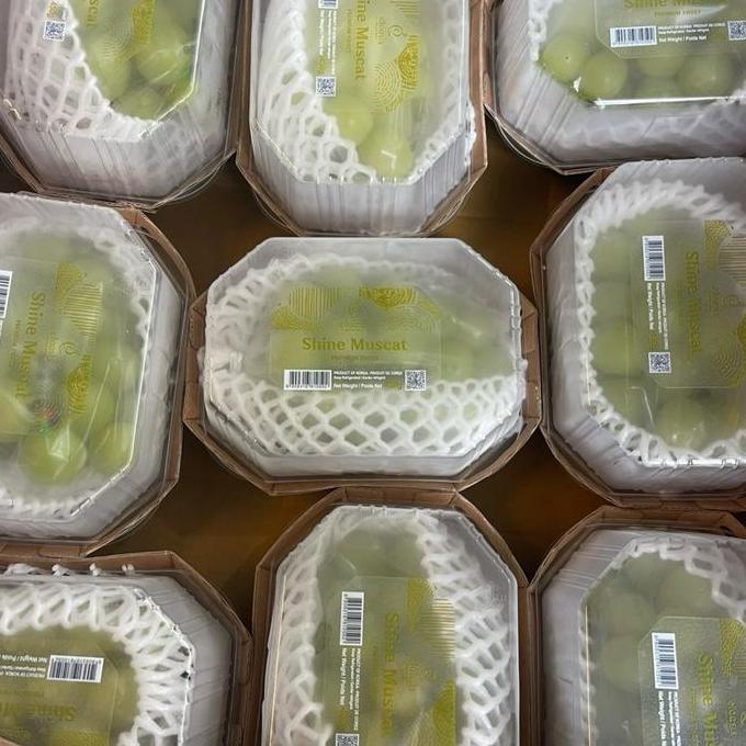 Frutting- Anggur Muscat | Shine Muscat | Anggur Manis | Muscat Jumbo - 1 Pack