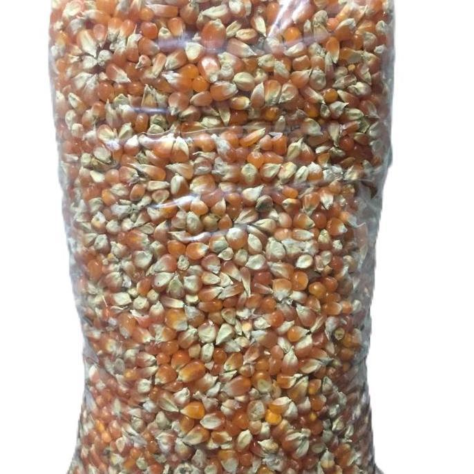 Willofbig- Jagung Kristal - Pakan Burung Dara - Makanan Burung Dara