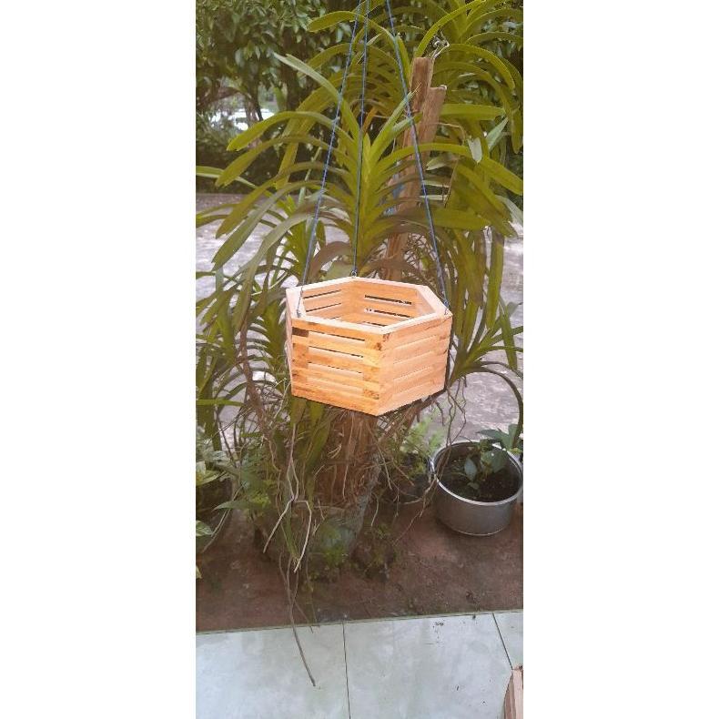 Ready pot bunga,pot bunga kayu,pot bunga gantung,pot bunga angrek.