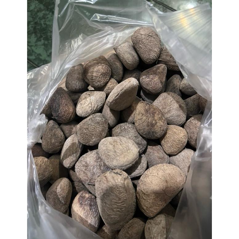 Kluwak Kluwek Kepayang 1 Kg 500 250 Gr Gram Rawon
