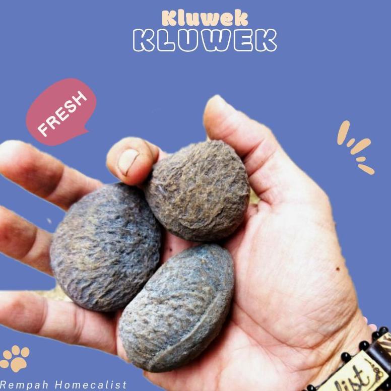 Kluwek 100Gram-Keluwuk-Pucung-Kluwek Rawon