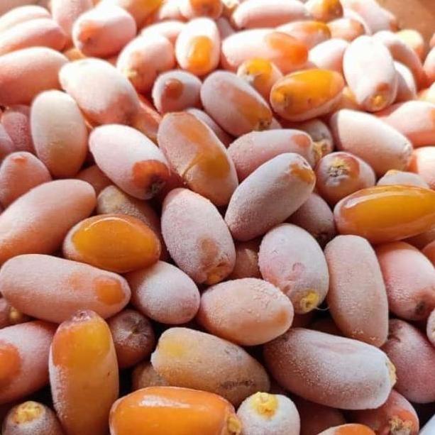 KURMA RUTHOB KURMA FRESH LANGSUNG DARI LIBYA - 2kg