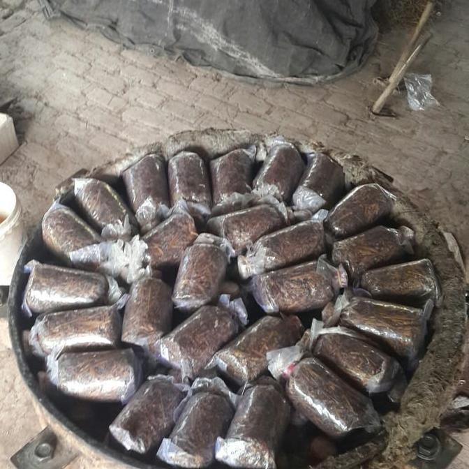 bibit jamur merang unggul