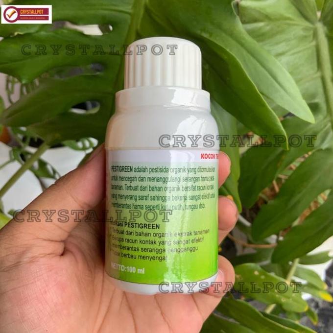 Grdwill- Pestigreen Pestisida Organik 100Ml