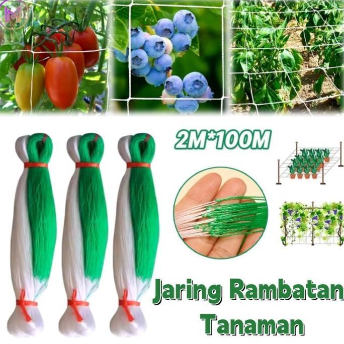 [COD]2M X 100M Jaring Rambatan Tanaman/Jaring Net Rambatan Tanaman Untuk Bertani Jaring Rambatan Tan