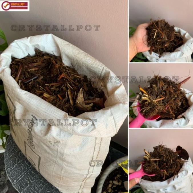 Grdwill- Media Tanam Organik Andam Karungan - Andam Karung