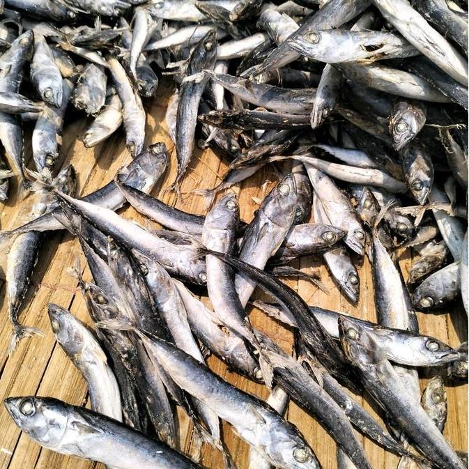 adaseller22 - ikan asin layang kering/rebus cue murah 1 kg Food Frozen