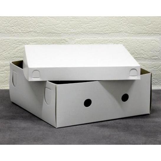 50Pcs Box Nasi 18X18 R Box Kotak Nasi Kotak Nasi Isi 50 Kotak Nasi Pengajian Mika 5 Sekat Box Kertas