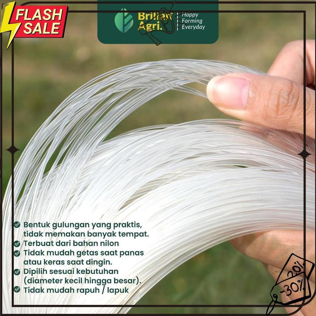 Brilian - Senar Cap Ikan Kakap Ukuran 2500 Per Roll /Tali Senar Pancing / Senar Layangan Termurah