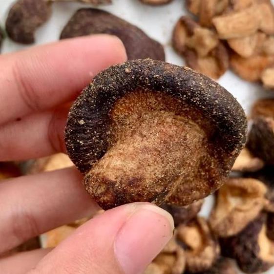 Mushroom Chips-Freeze Dried Mushroom-Keripik Jamur-Portobello Chips AJ