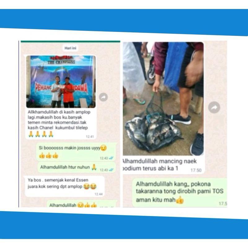 Essen Ikan Mas Paling Bagus, Essen Juara Untuk Lomba Mancing Ikan Mas Harian, Essen Ikan Mas Galapun