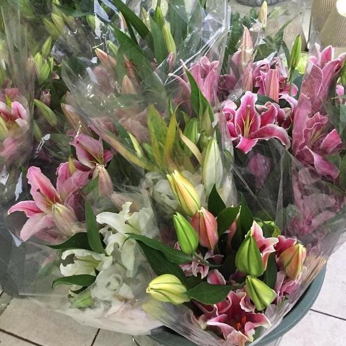 Flowpick- Bunga Lili Putih White Lily Fresh Segar Asli 5 Tangkai