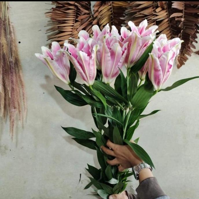 Flowpick- Bunga Lily Casablanca
