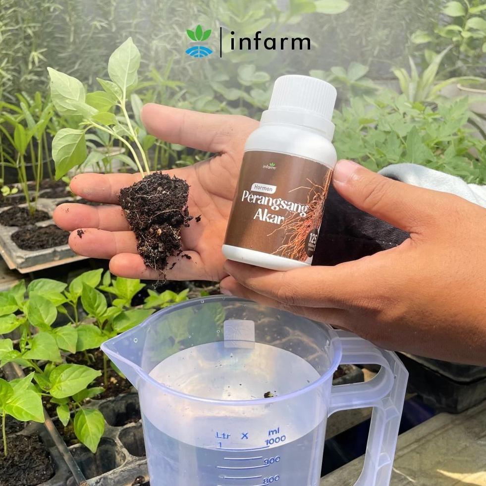 Bisa Cod Infarm 125Ml Nutrisi Dan Perangsang Akar Tanaman Stek / Perangsang Akar ><