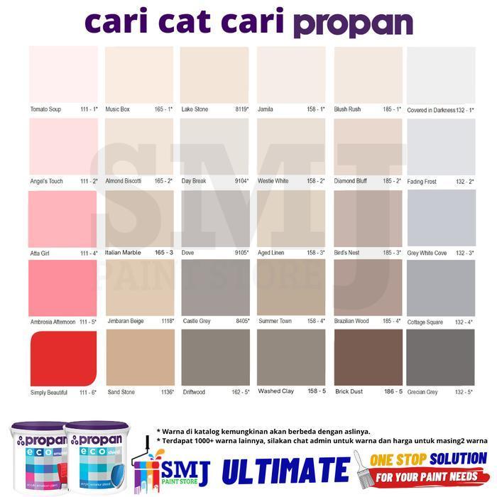 Cat Tembok Eksterior PROPAN ECOSHIELD ES-600 warna tinting 25kg