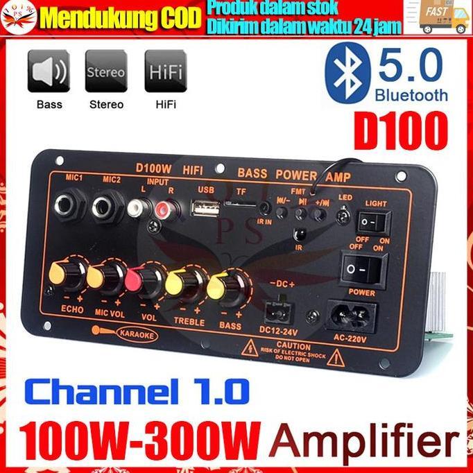 D100 Amplifier Board Bluetooth 5.0 Subwoofer 10 Inch 12Inch DIY 300W AC 220V 12V 24V Kit Mobil HIFI 