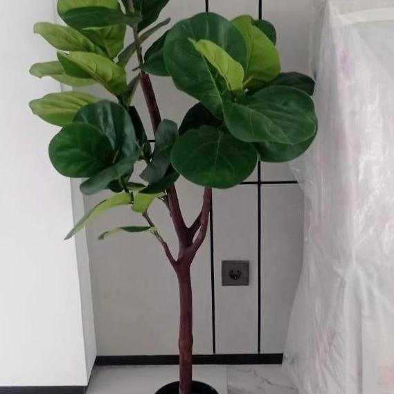 Terlaris Tanaman Hias Artificial Pohon Plastik Ketapang Biola Cantik Imitasi