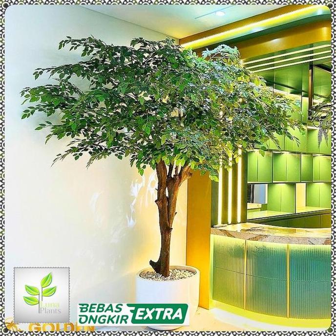Terlaris Pohon Beringin Artificial Jumbo - Bonsai Beringin Pohon Dekorasi Bunga