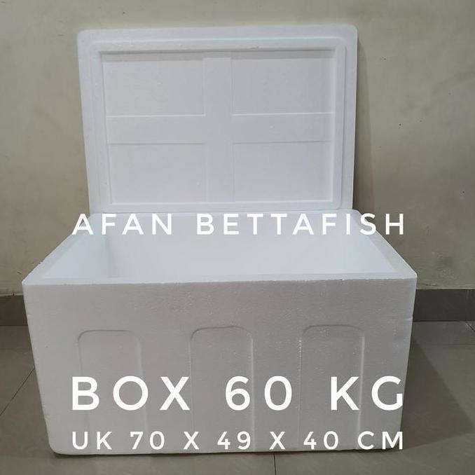 STYROFOAM BOX 60KG 70 x 49 x 40 CM BOX STEREFOAM 60 KG