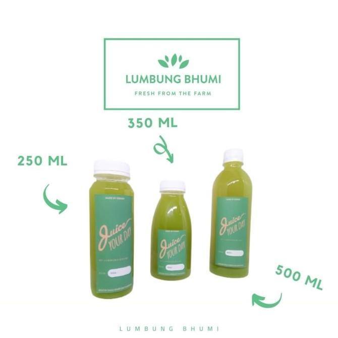 Hijaudaun- Jus Sayur Kale Premium 500 Ml - Lumbung Bhumi
