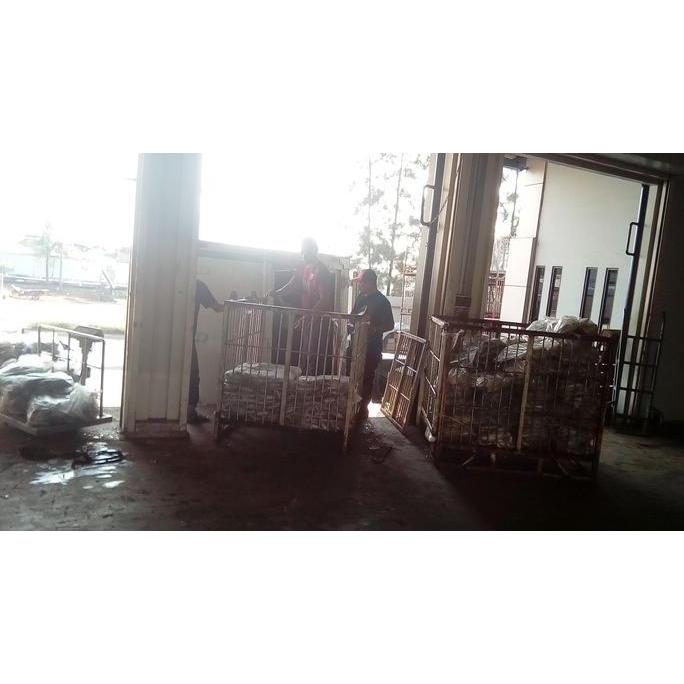 Foodx- Ikan Deho Beku/ Tongkol Beku/ Ikan Beku / Size 3-10 Pcs/Kg