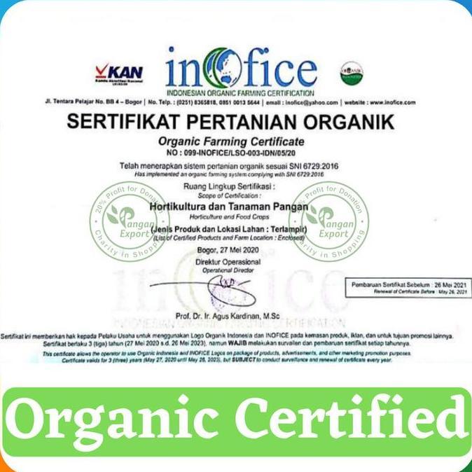 Foodx- Pisang Raja Bulu , Pisang Raja Fresh