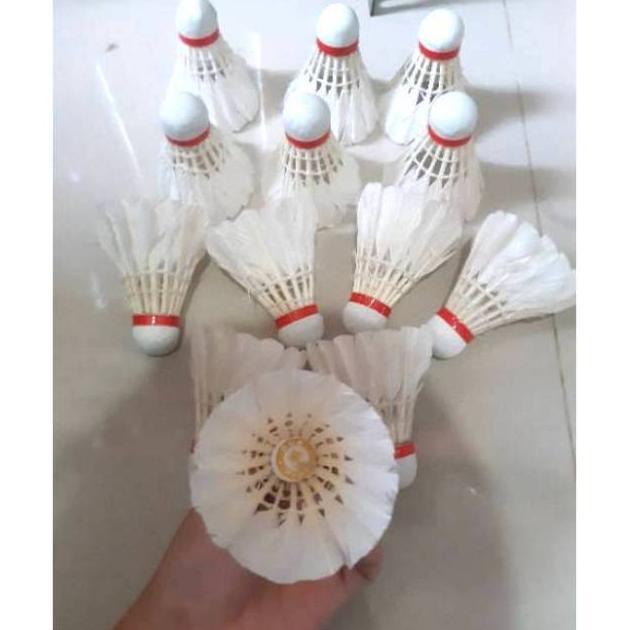 MURAH BOLA KOK BADMINTON KOK BULUTANGKIS BOLA KOK MURAH PERBUAH