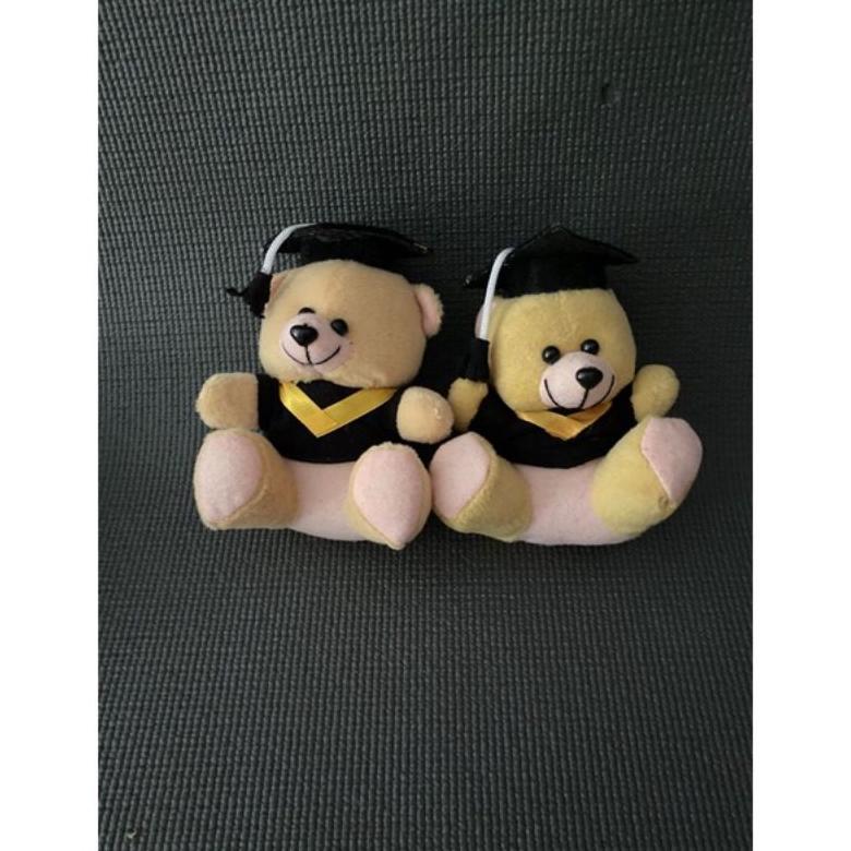NEW PRODUCT BONEKA WISUDA MINI BONEKA WISUDA BEAR MINI BONEKA BEAR WISUDA BONEKA TEDDY BEAR WISUDA M