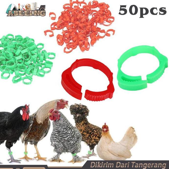SYAUBAN Isi 50 Segel Ayam Kaki Gelang Ayam Plastik Ring Kaki Ayam Bangkok Ring Ayam Bangkok Gelang K