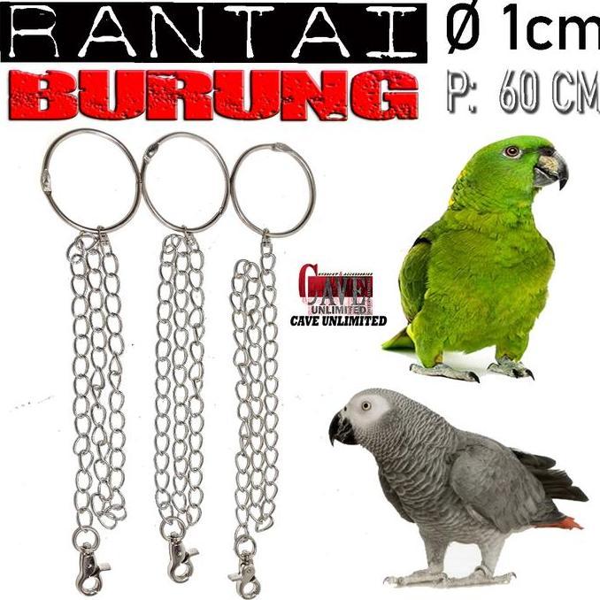 Dbutsu- Rantai Rante Ring Borgol Kaki Burung Love Bird Betet Parkit Lovebird