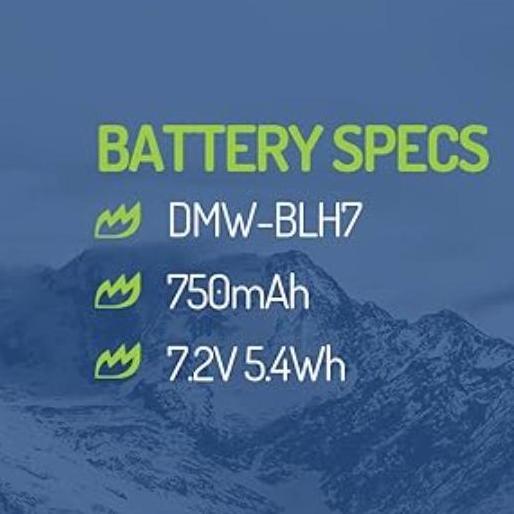 Wasabi Power Battery & Charger For Panasonic Dmw-Blh7 Dmw-Blh7E Dmw Blh7 Blh7E Lumix Dc Gx800 Gx850 