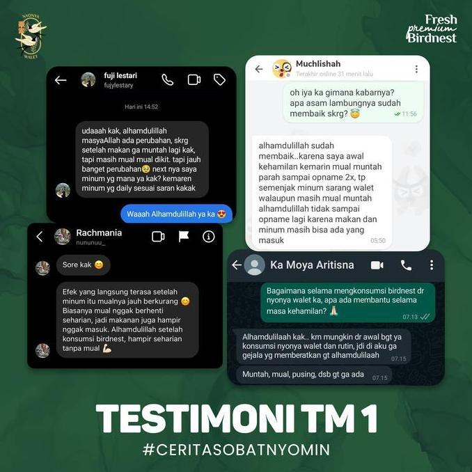 Kenk- Nyonya Walet - Minuman Sarang Walet - Bird Nest Drink - Daily Nest (35% Bird Nest) - Box 8