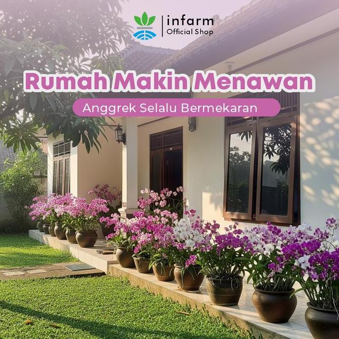 Infarm - Paket Lengkap Pupuk Anggrek Perawatan Premium Angrrek Rajin Bebunga Dan Anti Jamur Vitamin 
