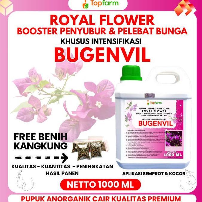 Pupuk Bugenvil 1 Liter Pupuk Tanaman Bougenville Cepat Berbunga Pupuk Bugenvil Terbaik Pupuk Pelebat