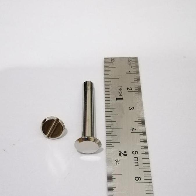 Baut Skrup Screw Paku Rivet 30Mm X10 Mm Nikel - Baut Agenda