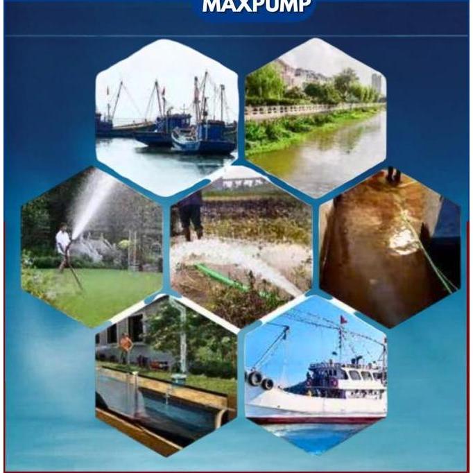 Sakan- Maxpump Pompa Celup Kuras Q2006 220V 100Watt 1Inch & 1.5Inch 5000L/H Untuk Kolam Laut & Kotor