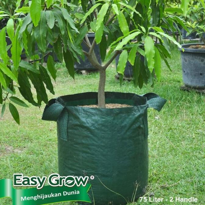 Planter Bag Easy Grow 75 Liter