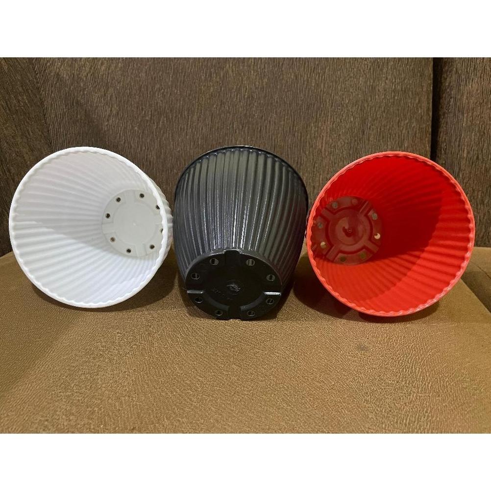 Promo Cod Promo Termurah Pot Kerang 15 Transparan Bening / Pot Zigo 15 / Pot Tanaman / Pot Hias / Po