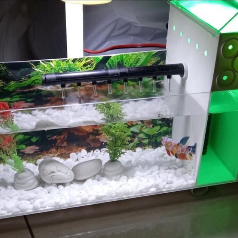 Aquarium Mini Unik Akrilik  Ikan Cupang Ikan Hias Kecil Eksklusif