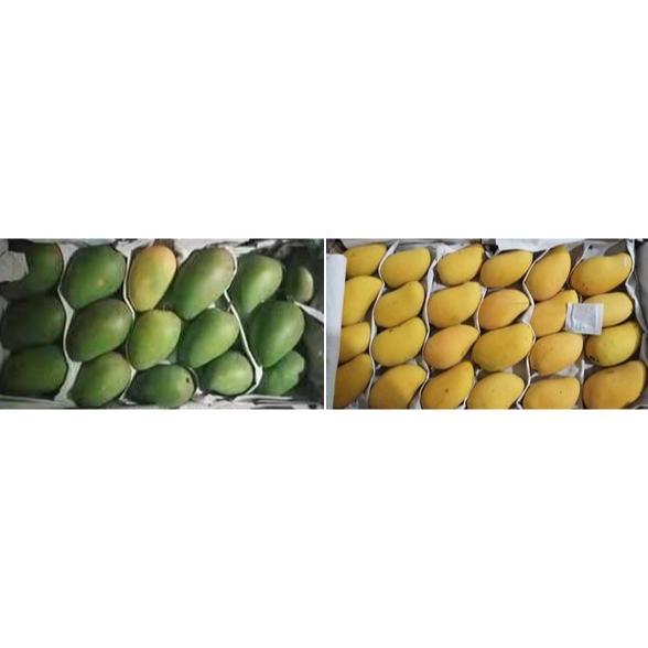 Promo Cod Ethylene Ripener 3Gr Etilen Serbuk Pematang Buah Mangga Manggis Pisang Alpukat Markisa Dan