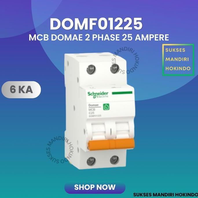 Promo Mcb 2 Phase 25 Ampere 2P 25A 2Pole Schneider Domae Baru 6Ka Ori Sni Cod