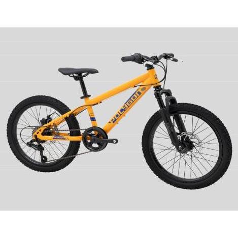 Promo Sepeda MTB 20 inch POLYGON MAZE sepeda anak laki laki COD