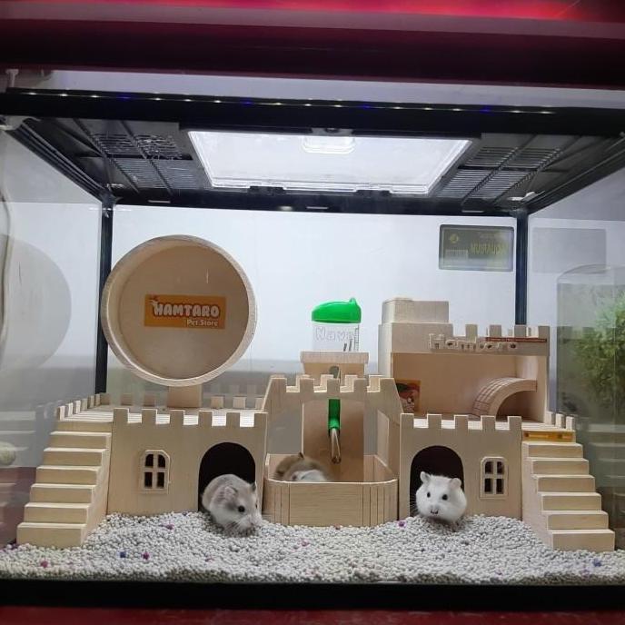 TERARIUM kandang hamster Besar dan Lucu mewah dan fullset Kandang Hamster Lucu REZ