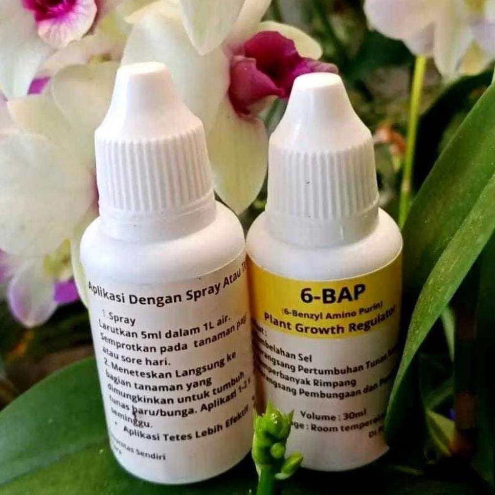 Promo Cod Super Murah Hormon Anggrek 6 Bap Kuning 30 Ml (Cocok Untuk Penumbuhtunas &Pembungaan Anggr