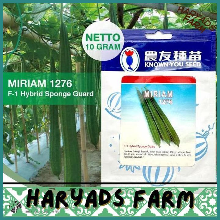 HF (1 PACK) BENIH GAMBAS MIRIAM 1276 OYONG HIBRIDA F1 SEEDS - KYS - 10 GR - HARYADSFARM