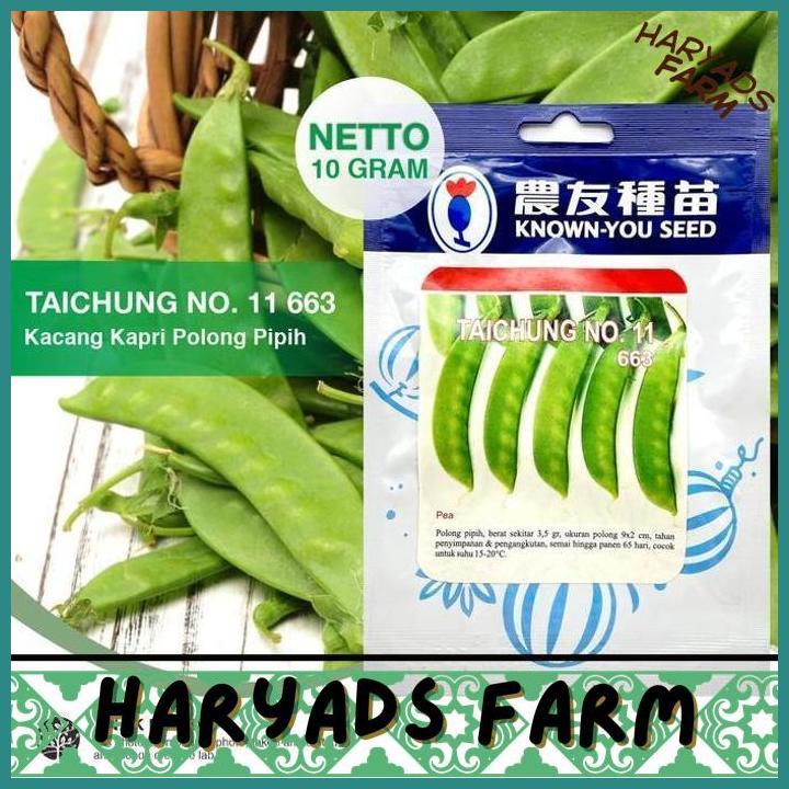 HF 10 GRAMS BENIH KACANG KAPRI TAICHUNG NO. 11 663 - KNOWN-YOU SEED - HARYADSFARM