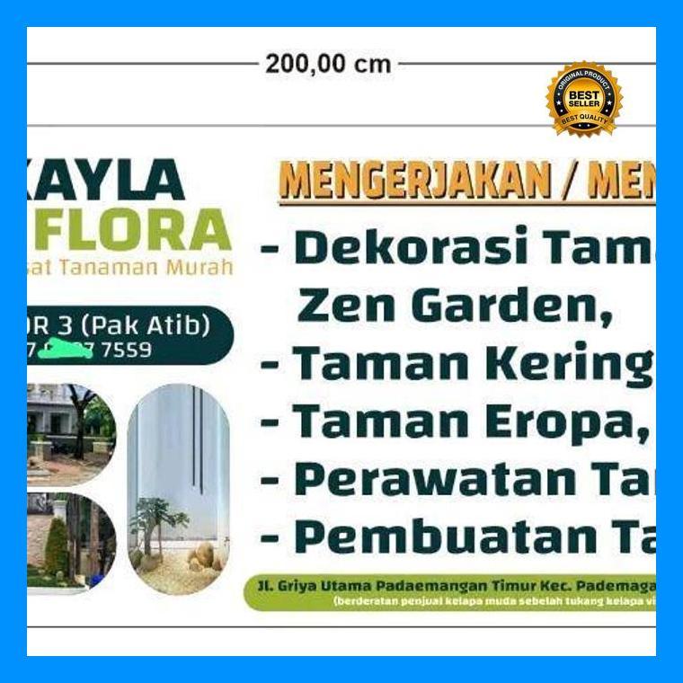 (Terbaru) Tanaman Hias Sirih Gading Gantung /Tanaman Hias Indoor Falce Ficuse /Tanaman Gantung Hiasa