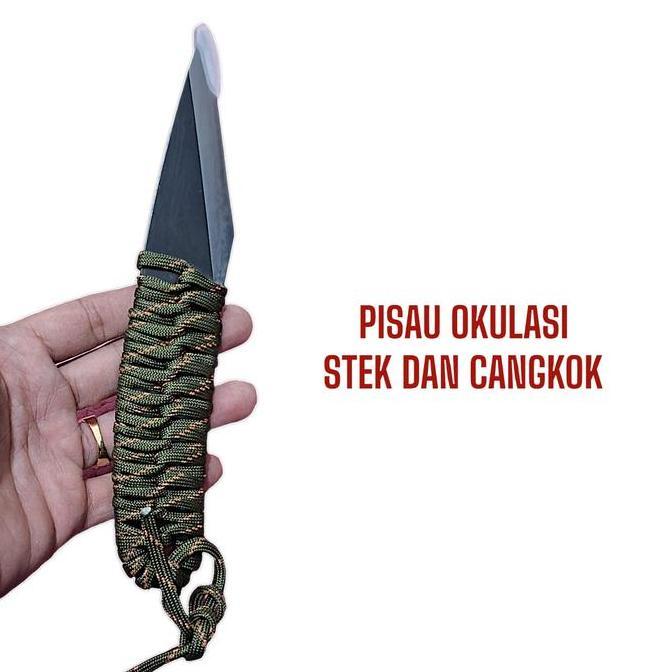 Pisau Okulasi Stek Cangkok Berkebun Dan Tanaman Hias Serta Bonsai 20Cm