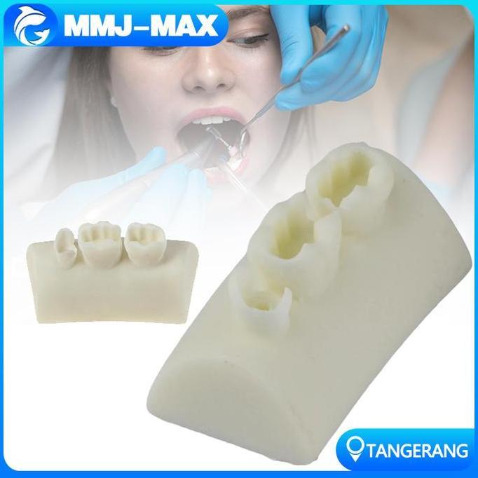 CLUCK Model Latihan Tambal Gigi/Model Tambalan Gigi/Dental Practice Model